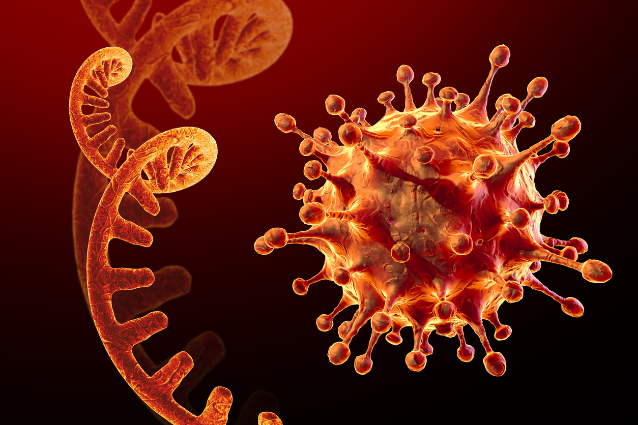 HMPV Virus