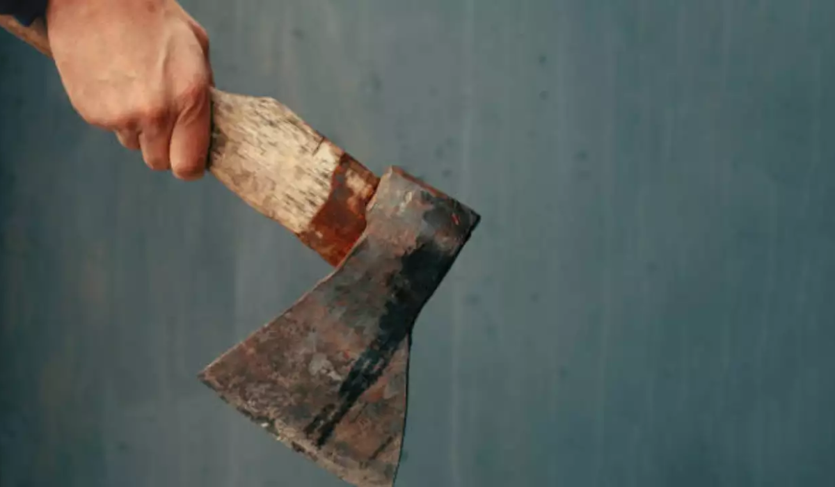 Murder with axe