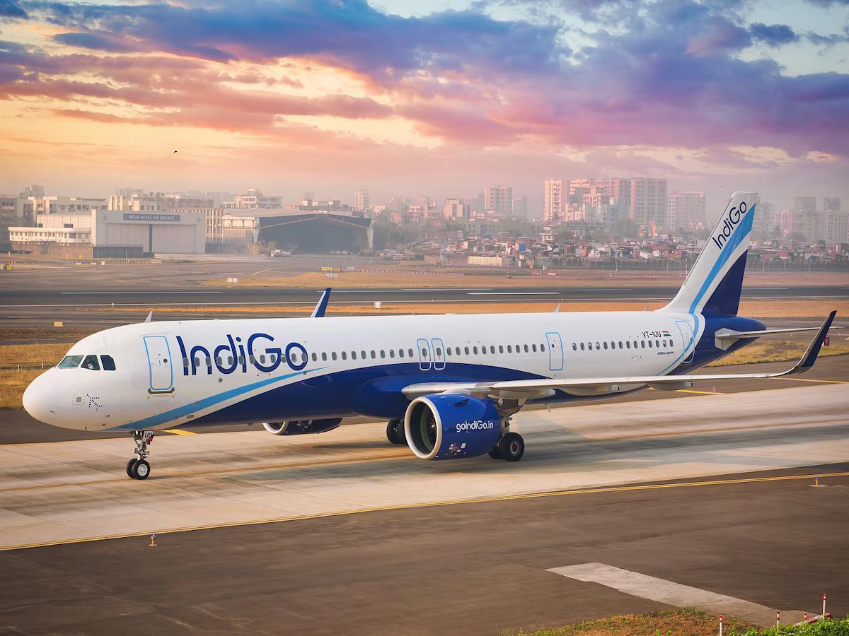 indigo flight