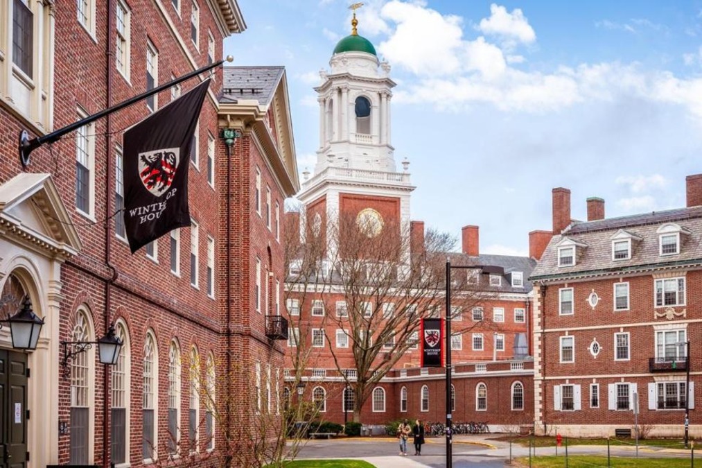 harvard university