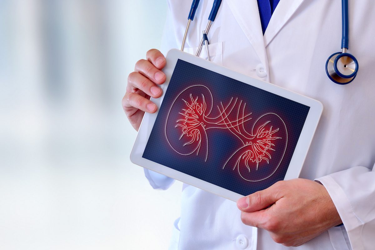 Kidney