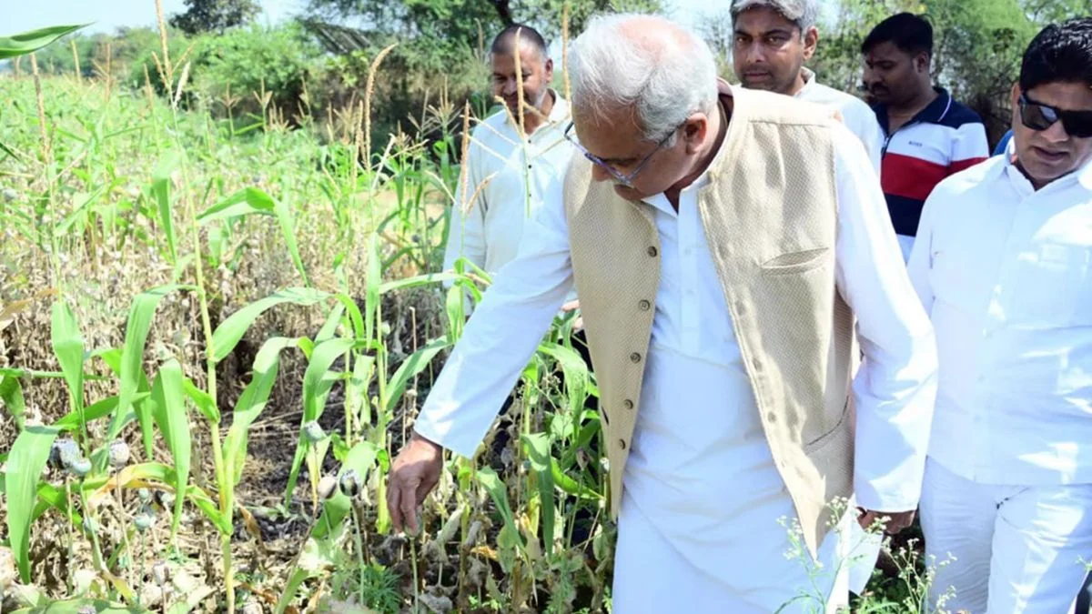 छत्तीसगढ़