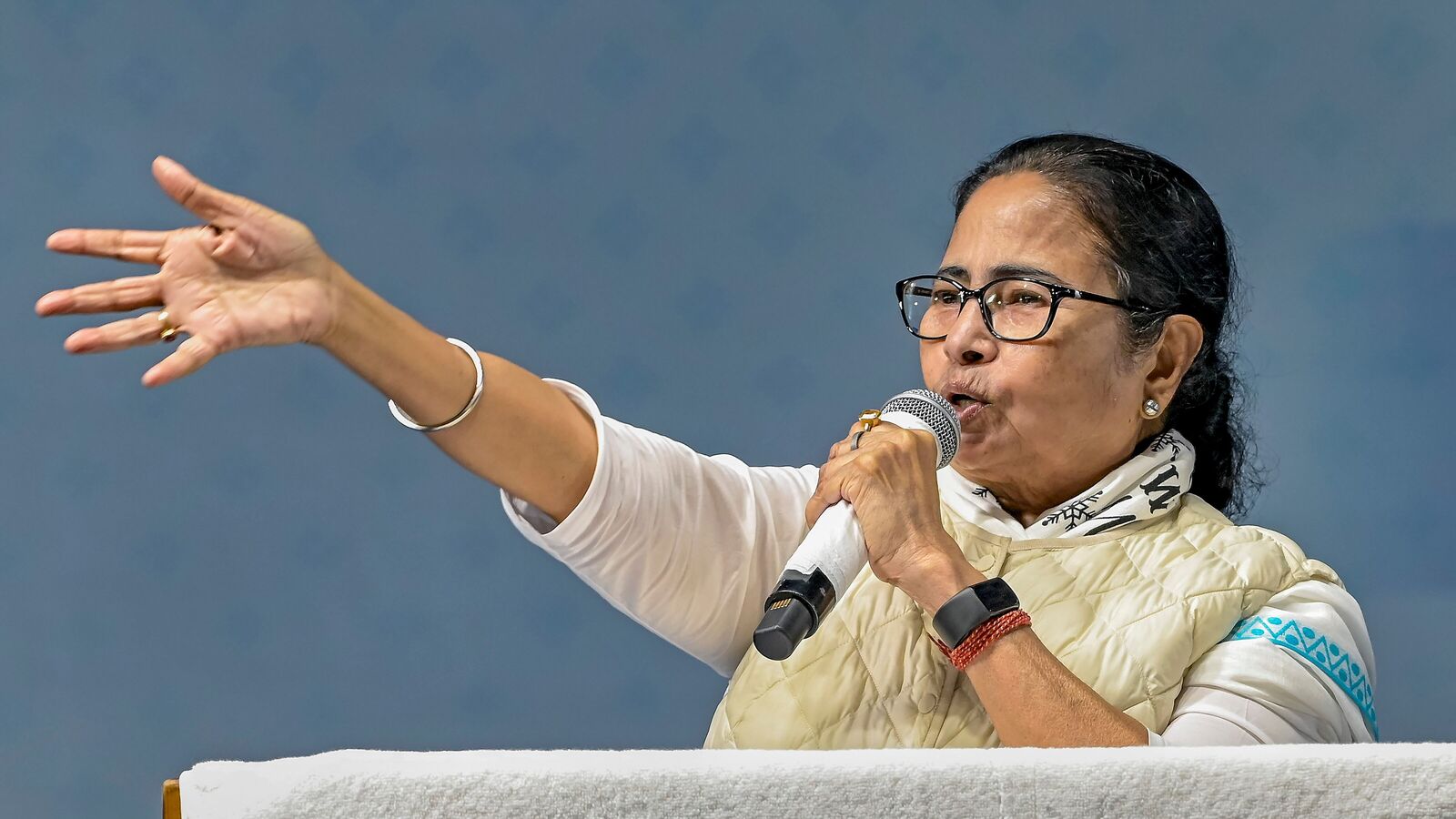 Mamata Banerjee